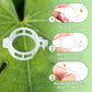 🥳¡VENTA ESPECIAL 2026!🥳Clips de plástico seguros para plantas