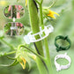 🥳¡VENTA ESPECIAL 2026!🥳Clips de plástico seguros para plantas