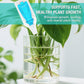 Solución nutritiva hidropónica para el crecimiento de las plantas💧💦